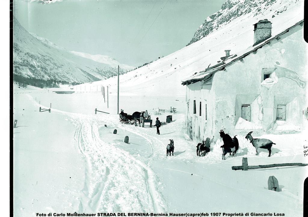 Gasthaus & Hotel Berninahaus Pontresina Extérieur photo